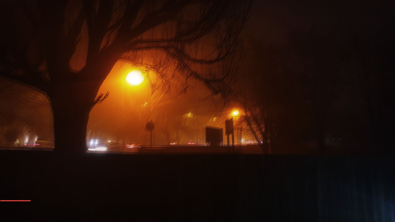 Blurred photo of road and tree in the evening